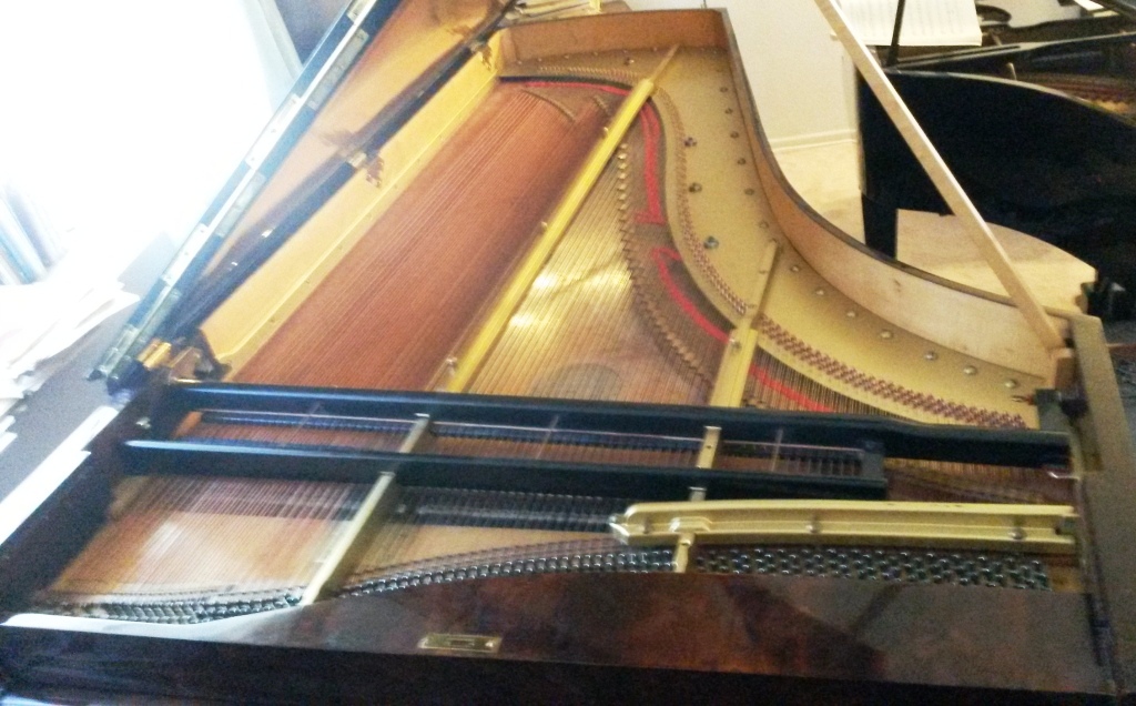 Bosendorfer 12228 compr belly from front Bosendorfer 12228 compr belly from front