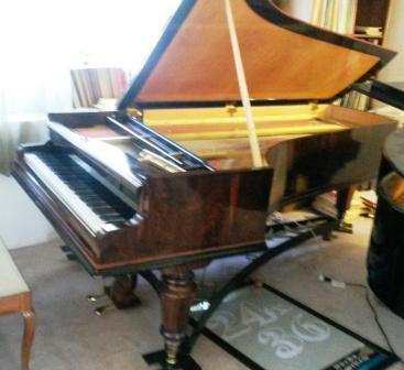 Bosendorfer 609 web