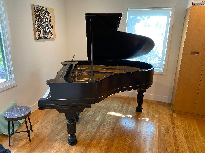 Steinway A1 1886 2