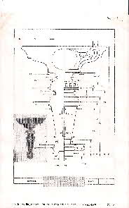 Chickering 110B leg drawing